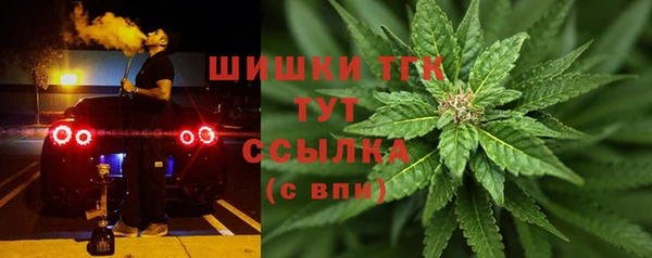 дживик Абинск