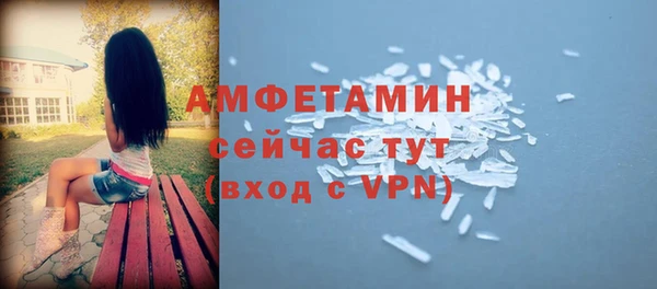 прущие грибы Абаза