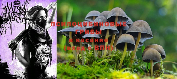 кокс Алексеевка