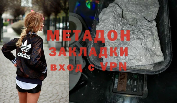 прущие грибы Абаза