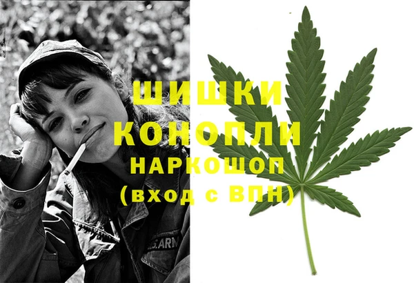 дживик Абинск