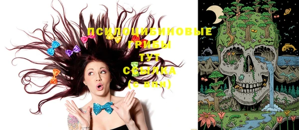 дживик Абинск