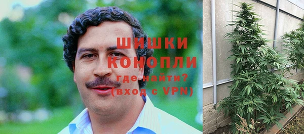 прущие грибы Абаза