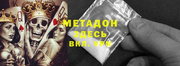 прущие грибы Абаза