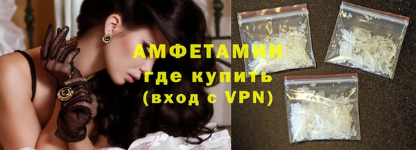 прущие грибы Абаза