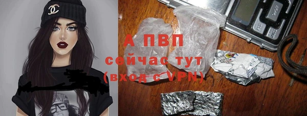 дживик Абинск