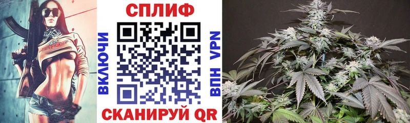 Бошки Шишки марихуана  цена   Западная Двина 